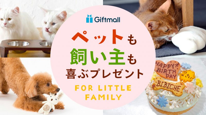 2026年】ペットも飼い主も喜ぶプレゼント 人気ランキングTOP10